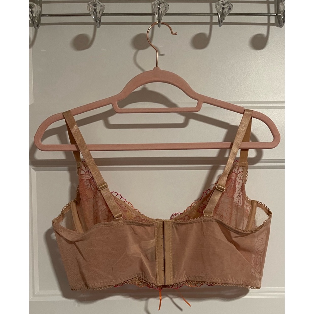Torrid Underwire Embroidered Mesh Unlined Lace Longline Bra and Panty NWT - Picture 8 of 16